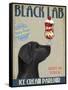 Black Labrador Ice Cream-Fab Funky-Framed Stretched Canvas