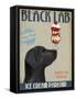 Black Labrador Ice Cream-Fab Funky-Framed Stretched Canvas