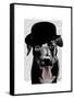 Black Labrador in Bowler Hat-Fab Funky-Framed Stretched Canvas