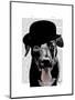 Black Labrador in Bowler Hat-Fab Funky-Mounted Art Print