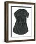 Black Labrador Portrait-Tomoyo Pitcher-Framed Giclee Print