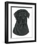 Black Labrador Portrait-Tomoyo Pitcher-Framed Giclee Print