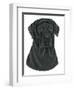 Black Labrador Portrait-Tomoyo Pitcher-Framed Giclee Print