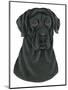 Black Labrador Portrait-Tomoyo Pitcher-Mounted Giclee Print