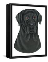 Black Labrador Portrait-Tomoyo Pitcher-Framed Stretched Canvas