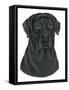 Black Labrador Portrait-Tomoyo Pitcher-Framed Stretched Canvas