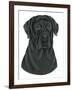 Black Labrador Portrait-Tomoyo Pitcher-Framed Giclee Print