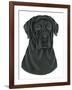 Black Labrador Portrait-Tomoyo Pitcher-Framed Giclee Print