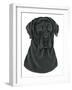 Black Labrador Portrait-Tomoyo Pitcher-Framed Giclee Print