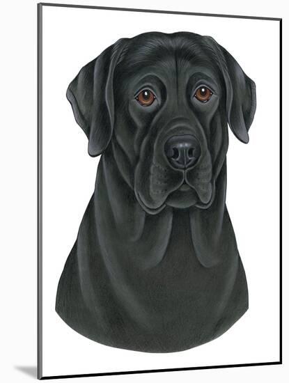 Black Labrador Portrait-Tomoyo Pitcher-Mounted Giclee Print