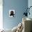 Black Labrador Puppy (8 Weeks Old) on Blue-null-Mounted Photographic Print displayed on a wall