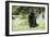 Black Labrador Retriever 13-Bob Langrish-Framed Photographic Print