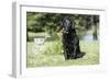 Black Labrador Retriever 13-Bob Langrish-Framed Photographic Print