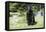 Black Labrador Retriever 13-Bob Langrish-Framed Stretched Canvas