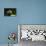 Black Labrador Retriever 22-Bob Langrish-Stretched Canvas displayed on a wall