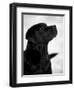 Black Labrador Retriever Looking Up-Adriano Bacchella-Framed Premium Photographic Print