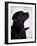 Black Labrador Retriever Looking Up-Adriano Bacchella-Framed Photographic Print