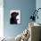 Black Labrador Retriever Looking Up-Adriano Bacchella-Photographic Print displayed on a wall