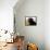 Black Labrador Retriever, Portrait-Lynn M^ Stone-Framed Stretched Canvas displayed on a wall
