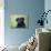 Black Labrador Retriever, Portrait-Lynn M^ Stone-Mounted Photographic Print displayed on a wall