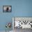Black Labrador Retriever Water Enry-Lynn M^ Stone-Framed Stretched Canvas displayed on a wall
