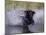 Black Labrador Retriever Water Enry-Lynn M^ Stone-Mounted Photographic Print