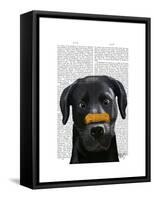 Black Labrador with Bone on Nose-Fab Funky-Framed Stretched Canvas