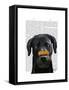 Black Labrador with Bone on Nose-Fab Funky-Framed Stretched Canvas