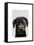 Black Labrador with Bone on Nose-Fab Funky-Framed Stretched Canvas