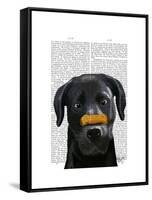 Black Labrador with Bone on Nose-Fab Funky-Framed Stretched Canvas