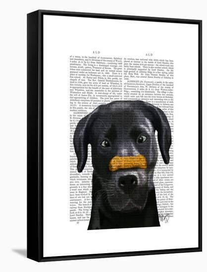 Black Labrador with Bone on Nose-Fab Funky-Framed Stretched Canvas