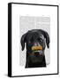 Black Labrador with Bone on Nose-Fab Funky-Framed Stretched Canvas
