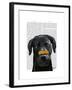 Black Labrador with Bone on Nose-Fab Funky-Framed Art Print