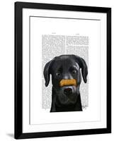 Black Labrador with Bone on Nose-Fab Funky-Framed Art Print