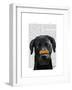 Black Labrador with Bone on Nose-Fab Funky-Framed Art Print