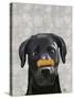 Black Labrador with Bone on Nose-Fab Funky-Stretched Canvas