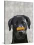 Black Labrador with Bone on Nose-Fab Funky-Stretched Canvas