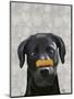 Black Labrador with Bone on Nose-Fab Funky-Mounted Art Print