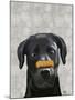 Black Labrador with Bone on Nose-Fab Funky-Mounted Art Print