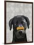 Black Labrador with Bone on Nose-Fab Funky-Framed Art Print