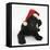 Black Labrador X Portuguese Water Dog Puppy, Cassie, with Father Christmas Hat On-Mark Taylor-Framed Stretched Canvas