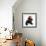 Black Labrador X Portuguese Water Dog Puppy, Cassie, with Father Christmas Hat On-Mark Taylor-Framed Photographic Print displayed on a wall
