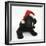 Black Labrador X Portuguese Water Dog Puppy, Cassie, with Father Christmas Hat On-Mark Taylor-Framed Photographic Print