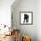 Black Labrador X Portuguese Water Dog Puppy, Cassie-Mark Taylor-Framed Photographic Print displayed on a wall