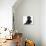 Black Labrador X Portuguese Water Dog Puppy, Cassie-Mark Taylor-Photographic Print displayed on a wall