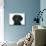 Black Labrador X Portuguese Water Dog Puppy, Cassie-Mark Taylor-Mounted Photographic Print displayed on a wall
