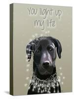 Black Labrador, You Light Up-Fab Funky-Stretched Canvas