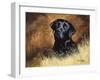 Black Labrador-Richard Britton-Framed Premium Giclee Print