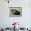 Black Labrador.-Savanah Stewart-Framed Photographic Print displayed on a wall