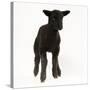 Black Lamb-null-Stretched Canvas